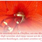 . .. doch immer messen wir die Liebe . . .