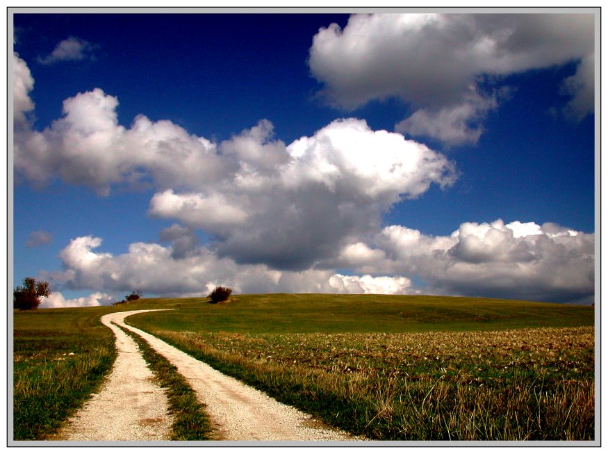 ...doch jene Wolke blühte nur Minuten...