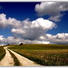 ...doch jene Wolke blühte nur Minuten...