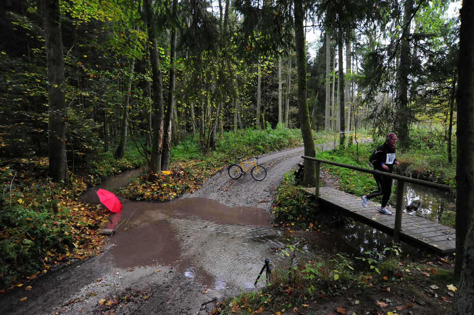 Doch lieber die Brücke