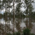 (Doch nicht der) Fitzroy River