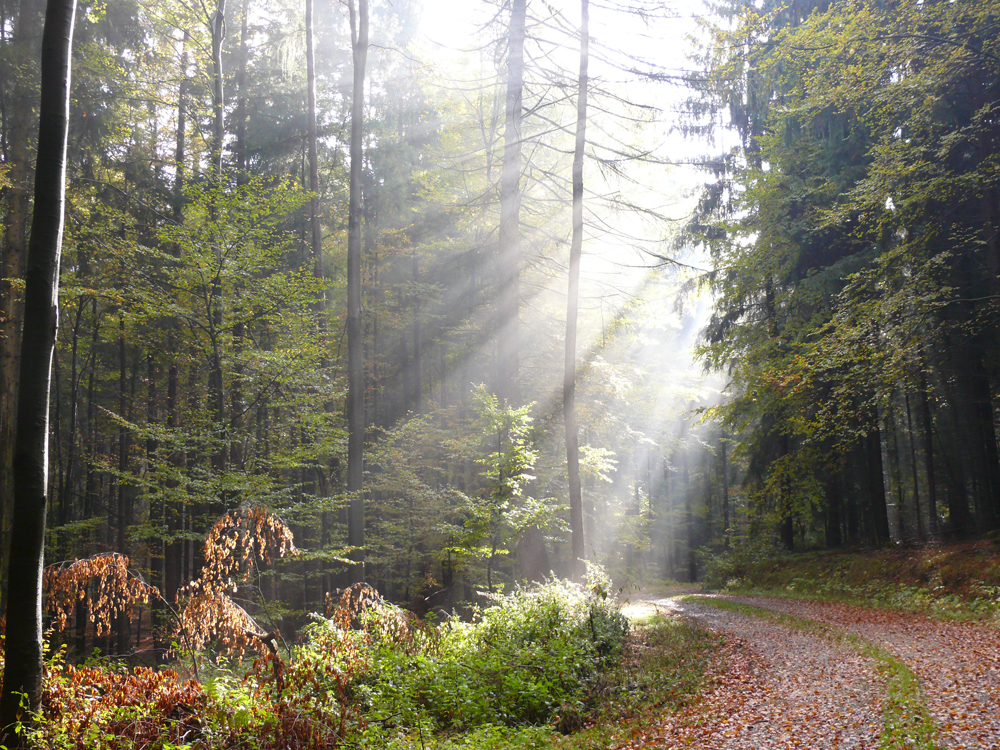 Doch noch goldener Oktober