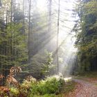 Doch noch goldener Oktober