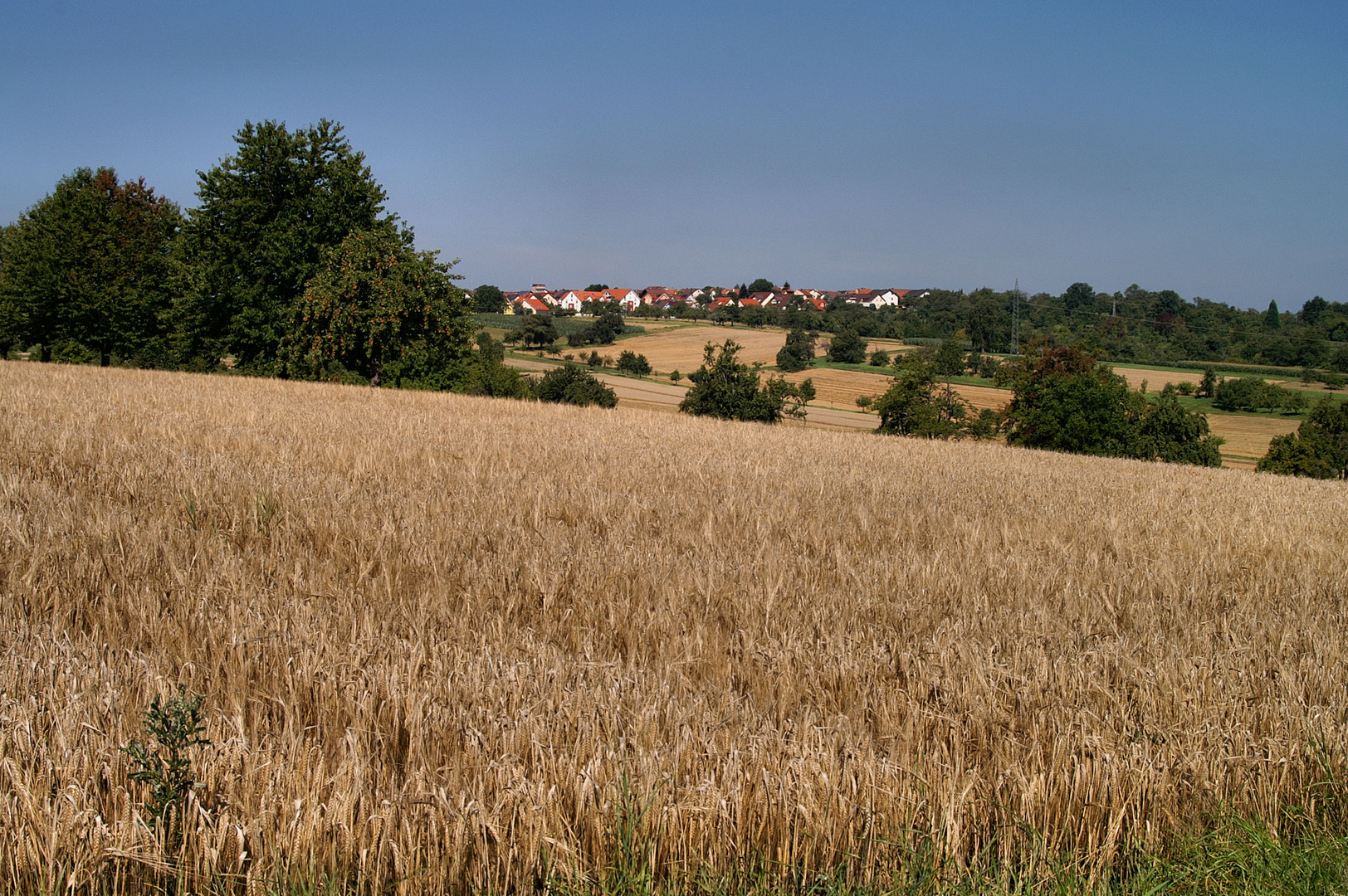 Doch noch mal Sommer...