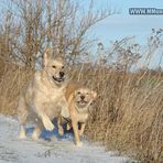 Doch noch mehr Schnee!