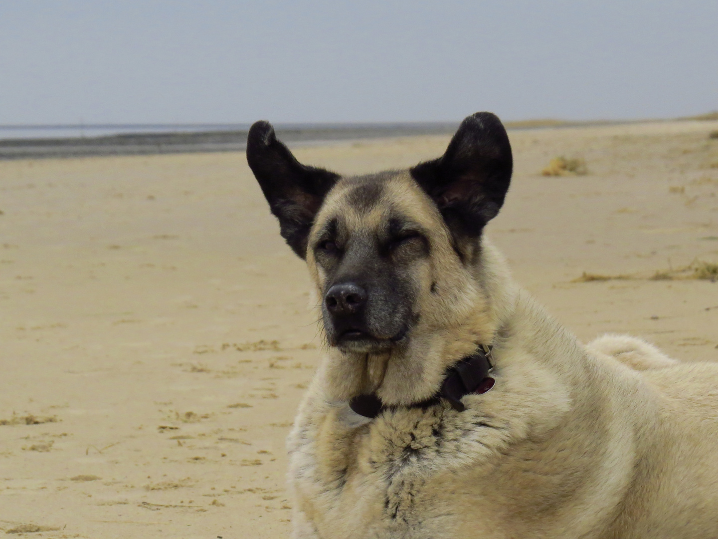 Doch noch Wind in Cuxhaven