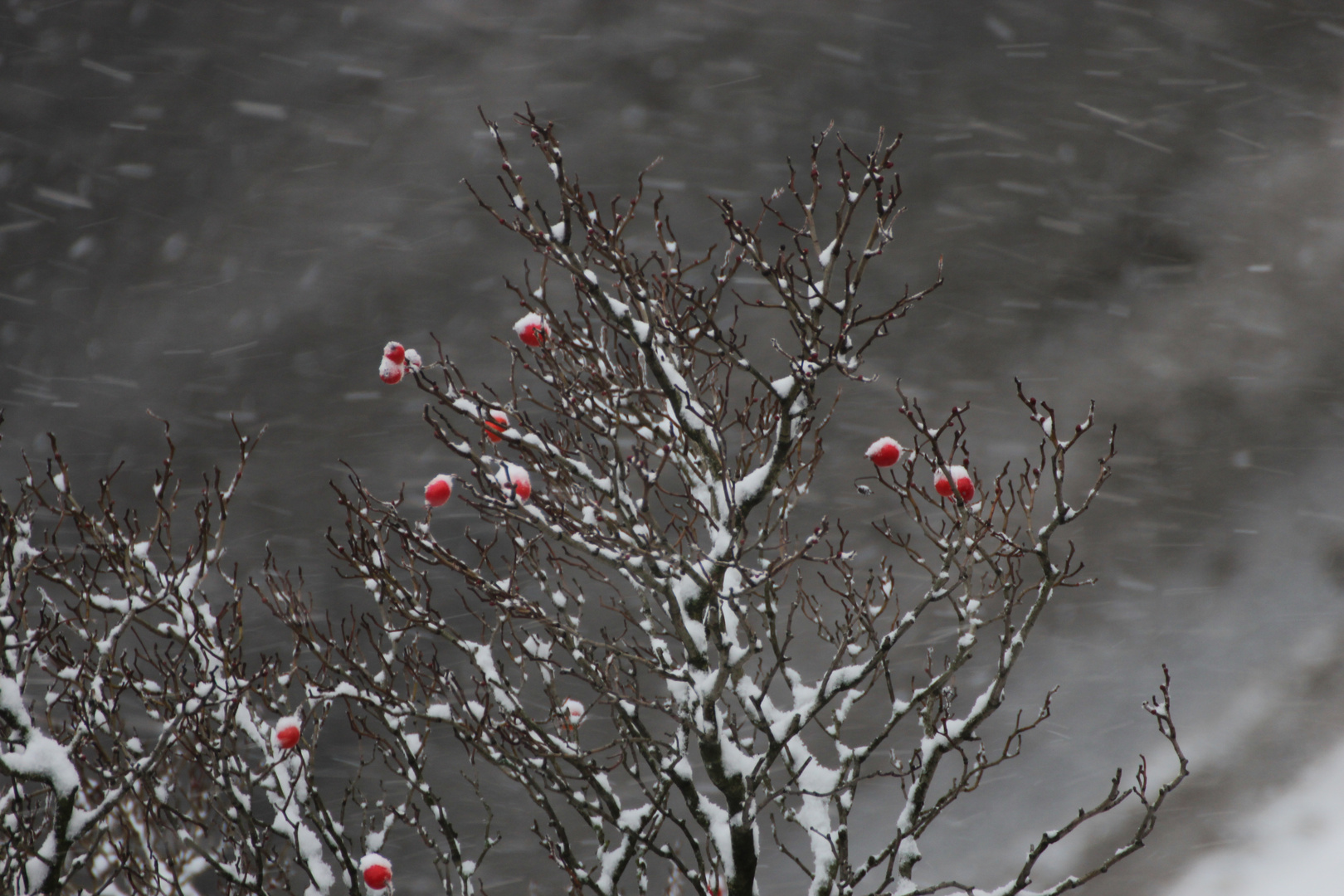 Doch noch Winter