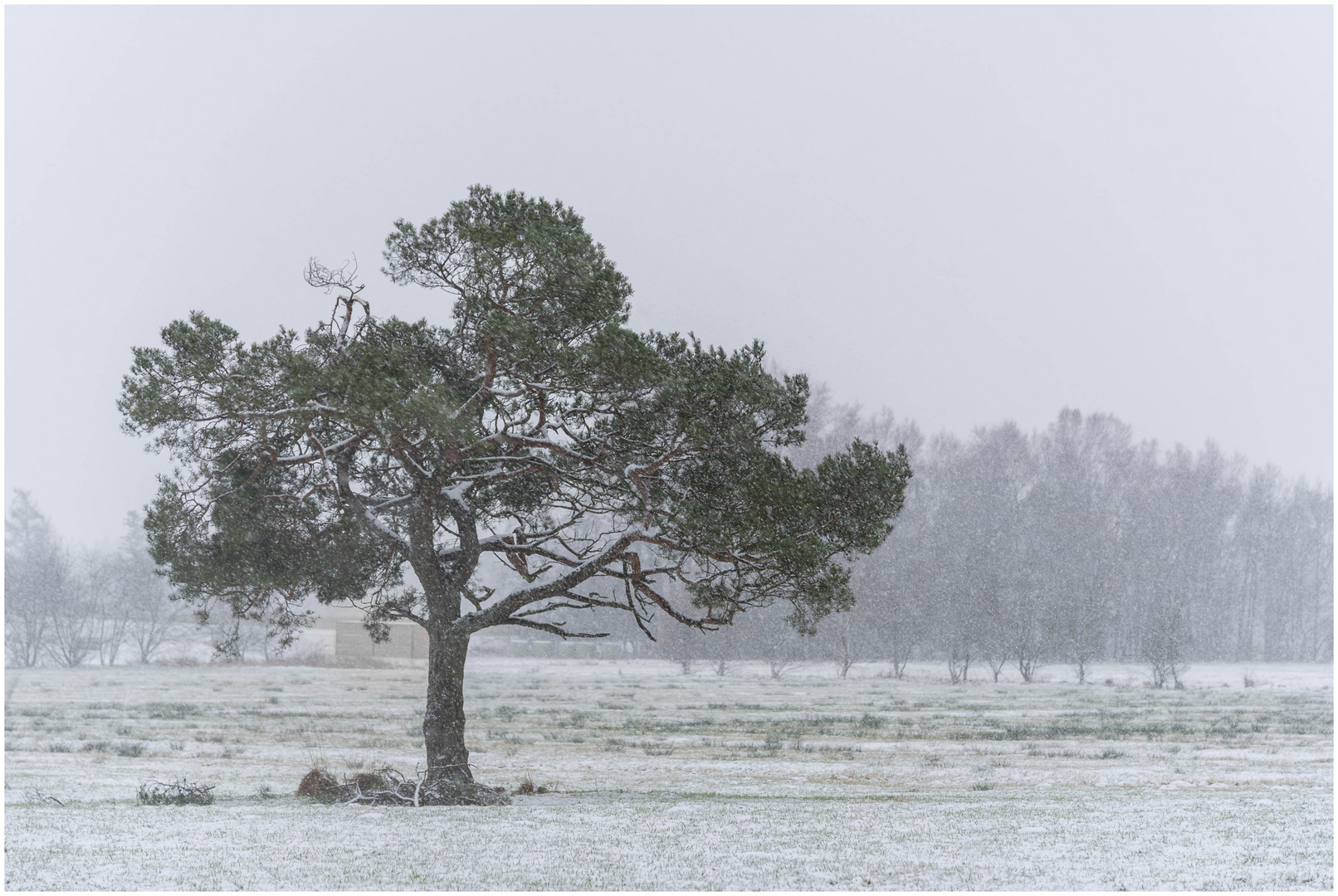 Doch noch Winter