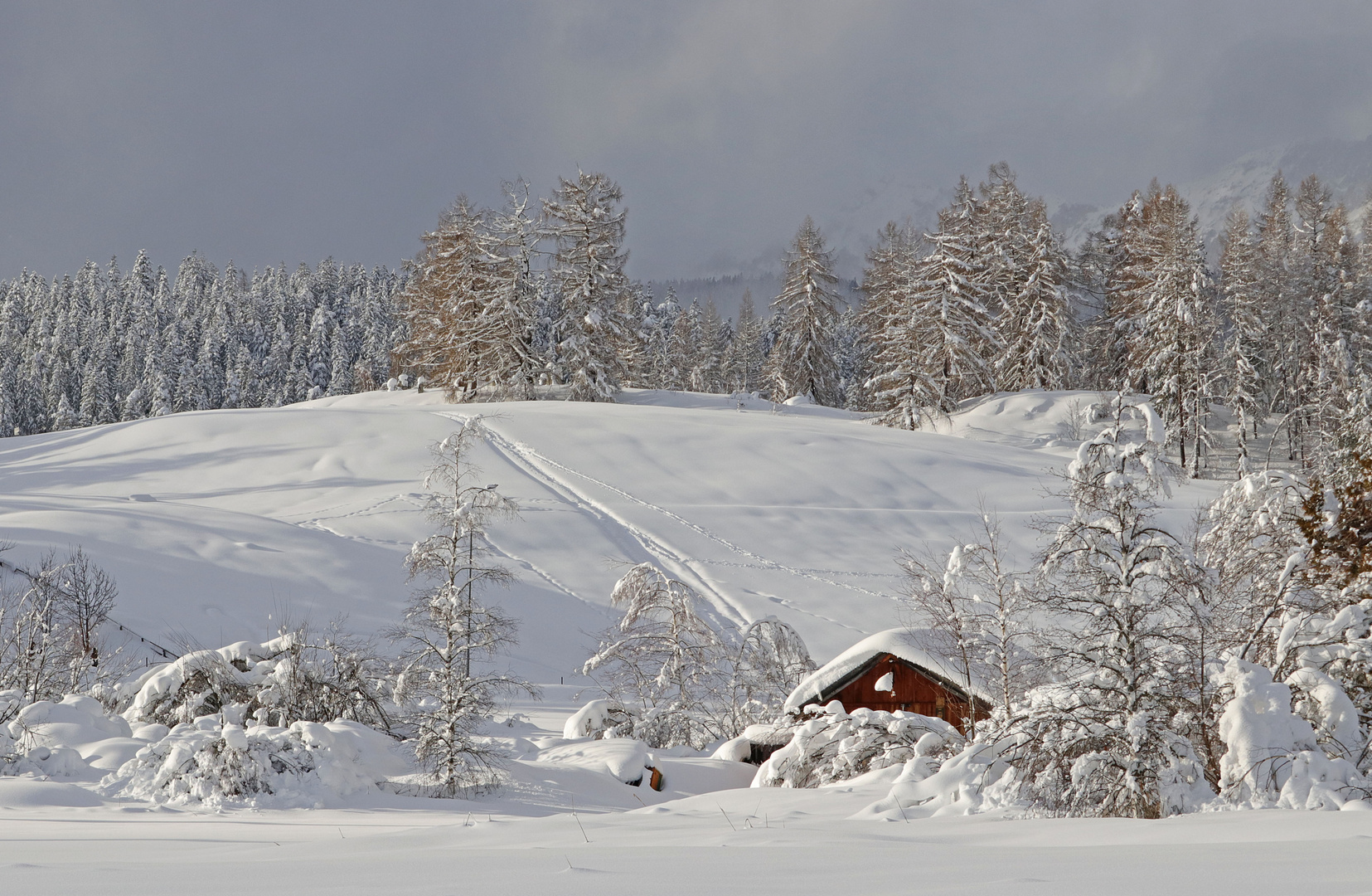 doch nochmal Schnee?