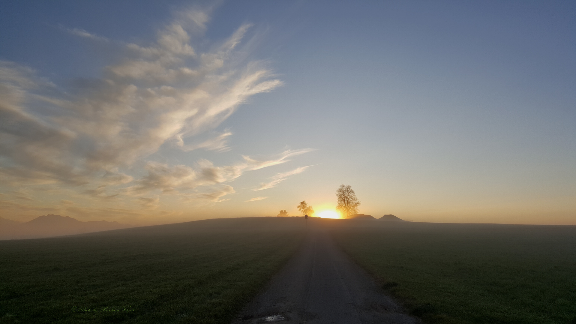 doch schneller als der Nebel