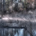 Doch überm Nebel lacht die Sonne