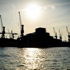 Dock 10 Silhouette, Hamburg