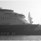 Dock 11