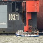 Dock 11 und die Nussschale