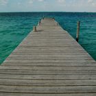 Dock