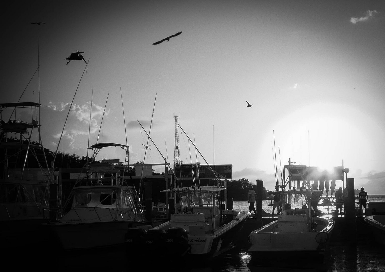 Dock at Key West Fisheries