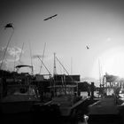 Dock at Key West Fisheries