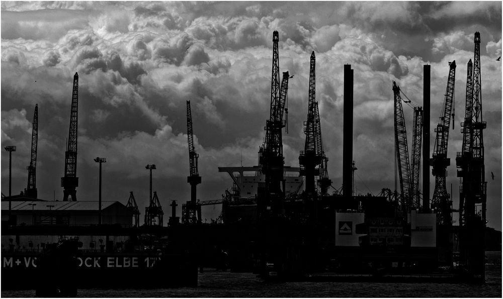 Dock Elbe 17 ...