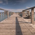 Dock in Nature