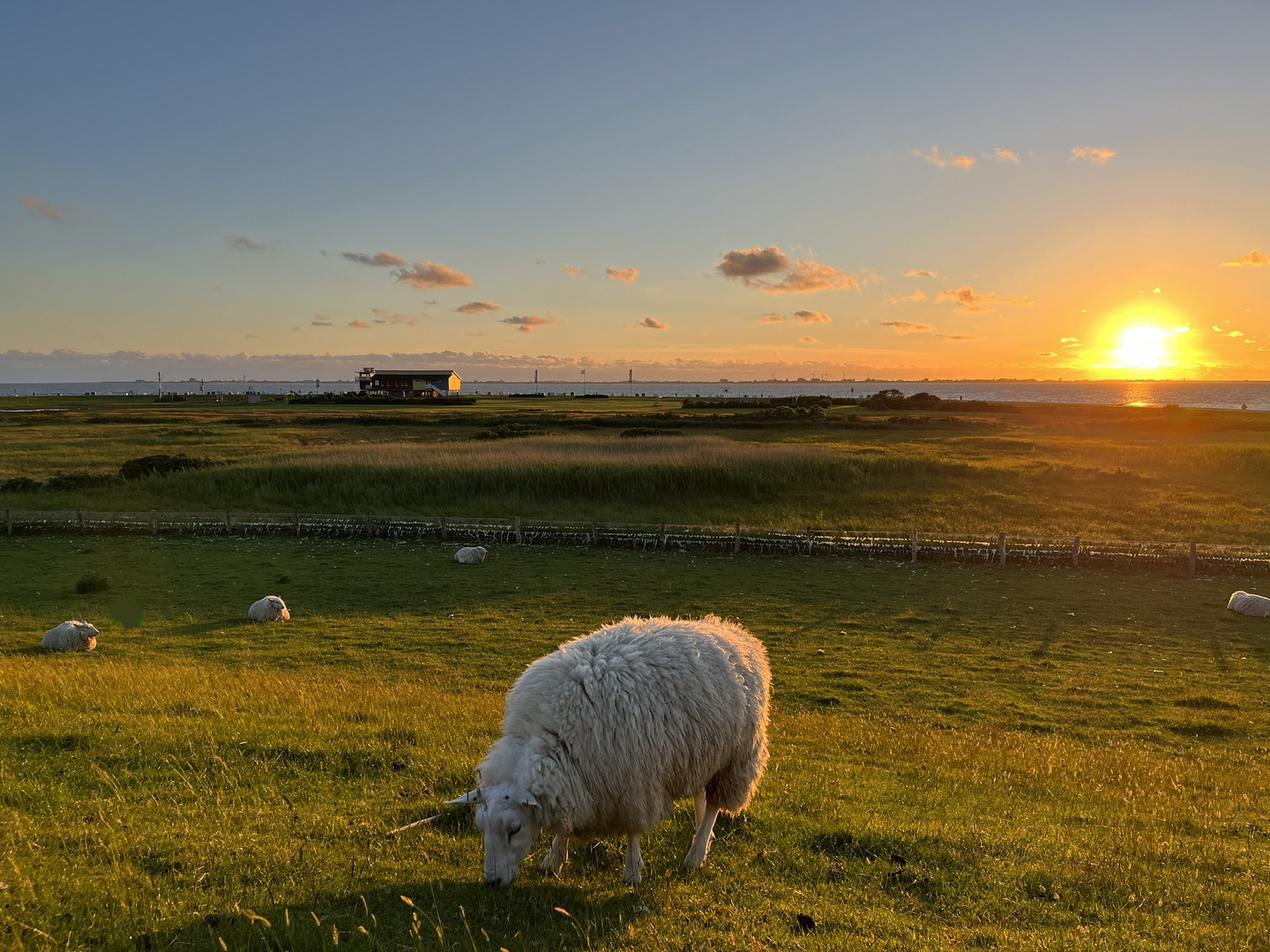 Dockkoog Husum Sonnenuntergang 