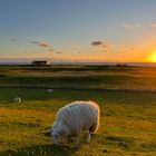 Dockkoog Husum Sonnenuntergang 