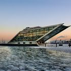 Dockland on Ice