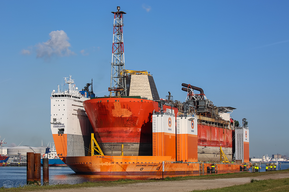 Dockwise Vanguard