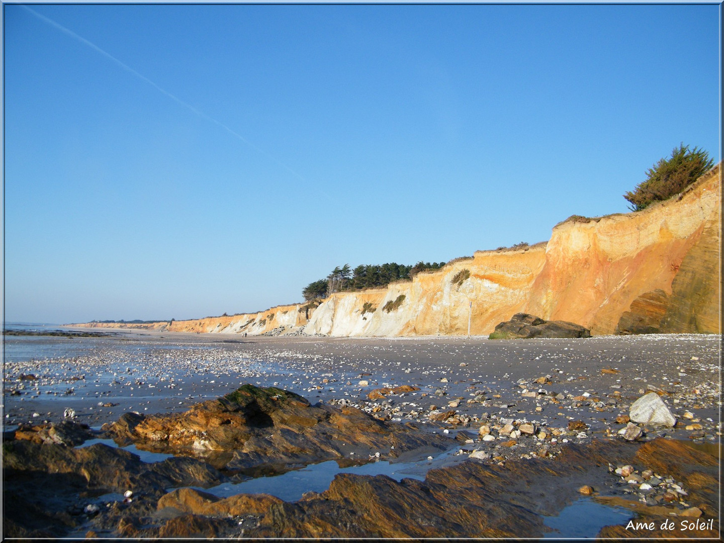 D'ocre et d'or ...