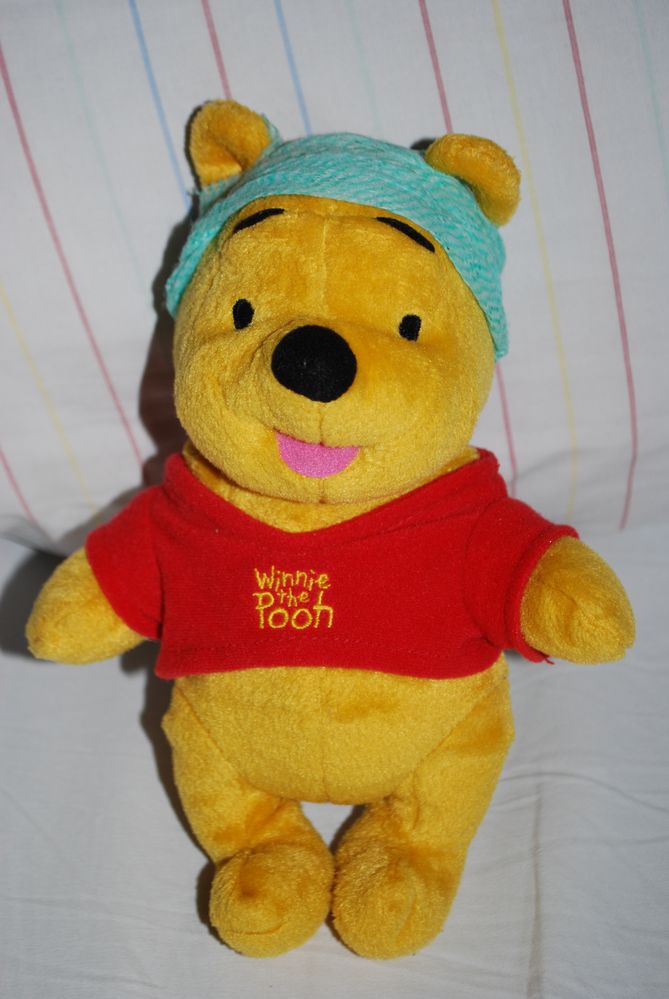 Doctor Winnie Pooh