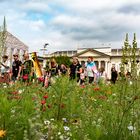 Documenta CSD und Blumen