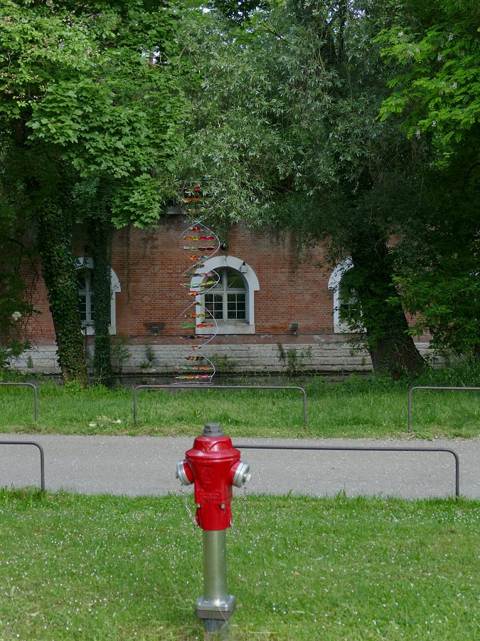 documenta ist zu weit weg