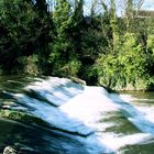 dodder river-dublin