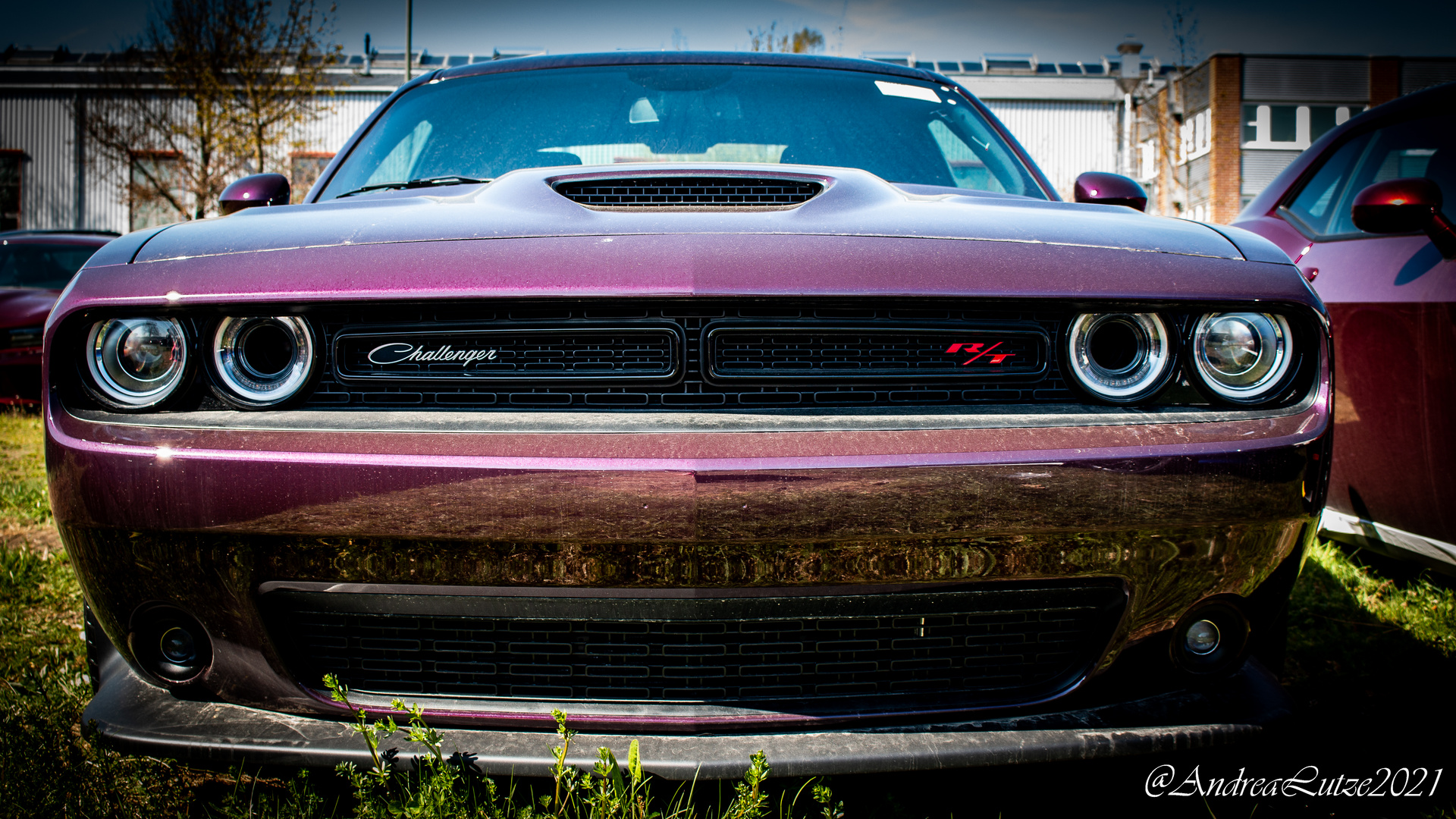 Dodge Challenger 