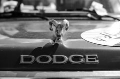 Dodge, Gast bei Harley Days