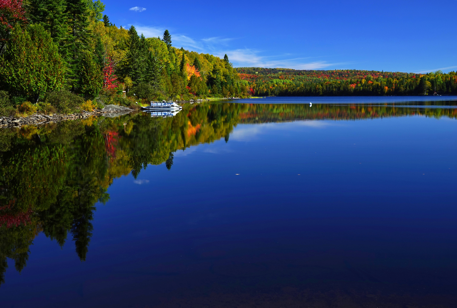 Dodge Pond, Rangeley, Maine