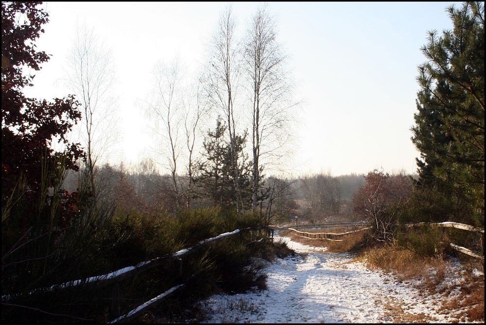 Döberitzer Heide