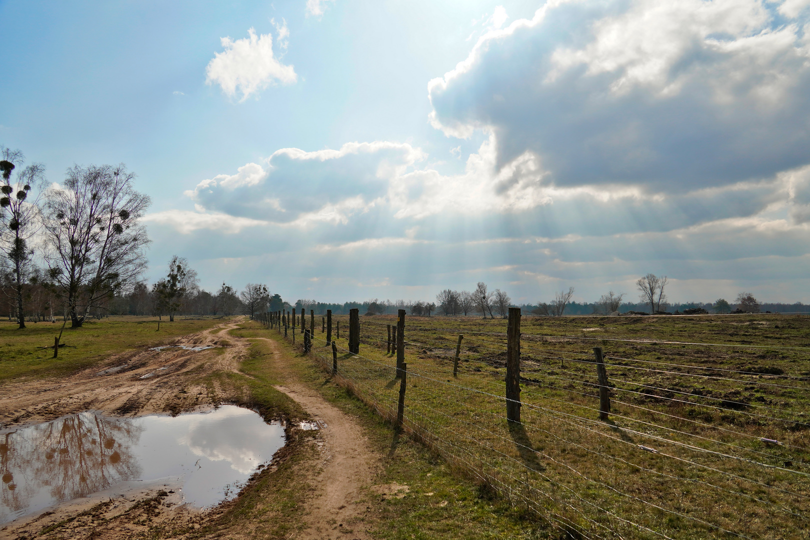 Döberitzer Heide