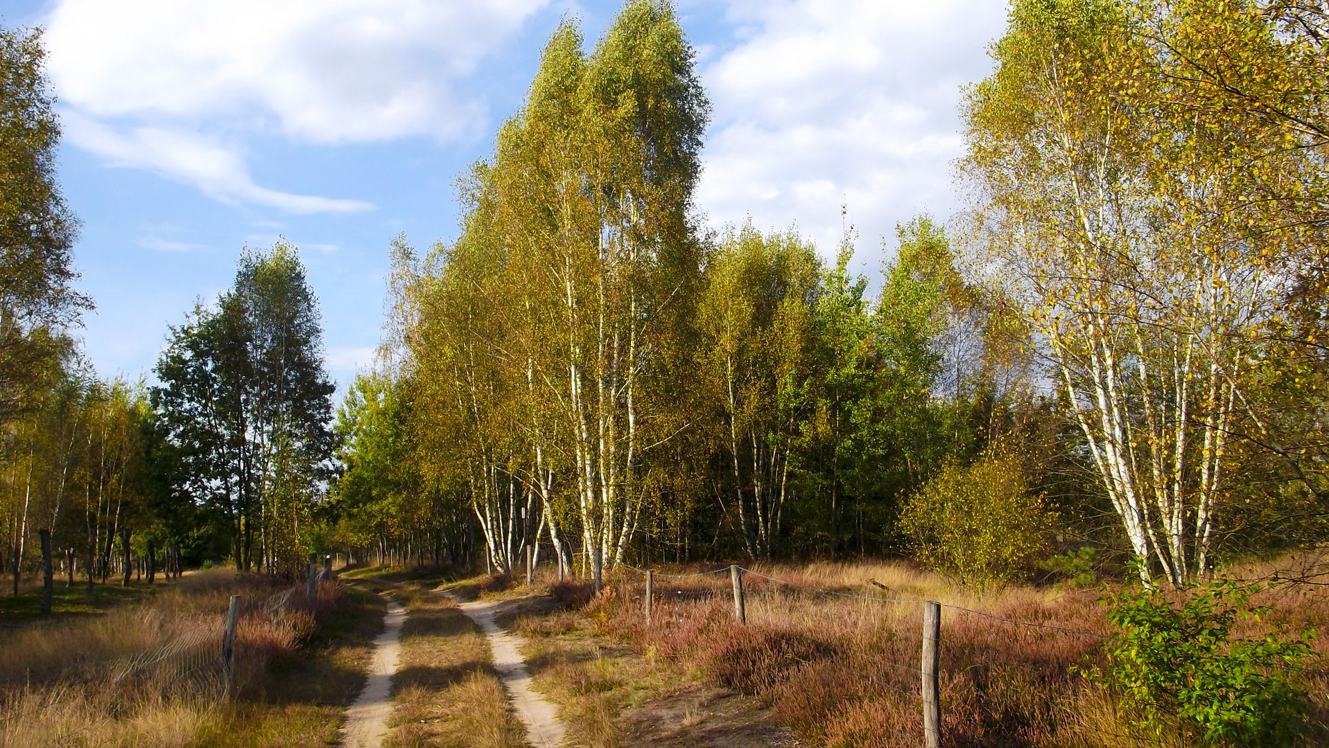 Döberitzer Heide