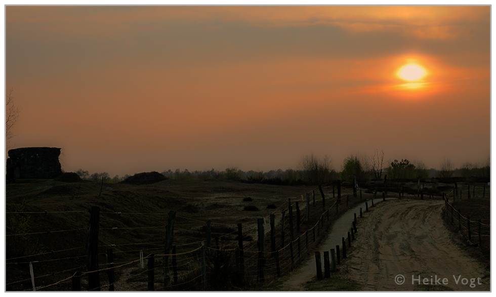 Döberitzer Heide I