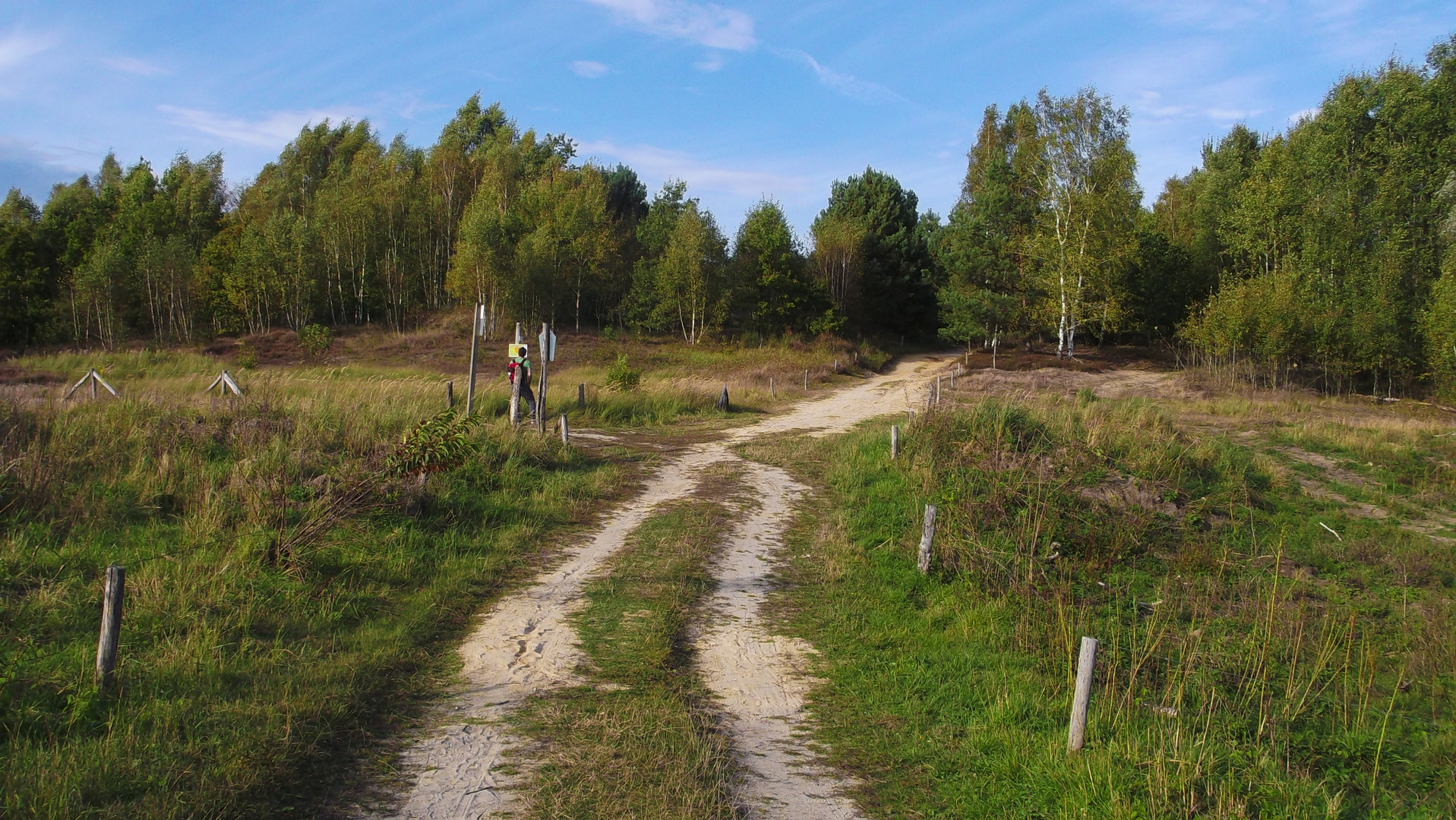 Döberitzer Heide II