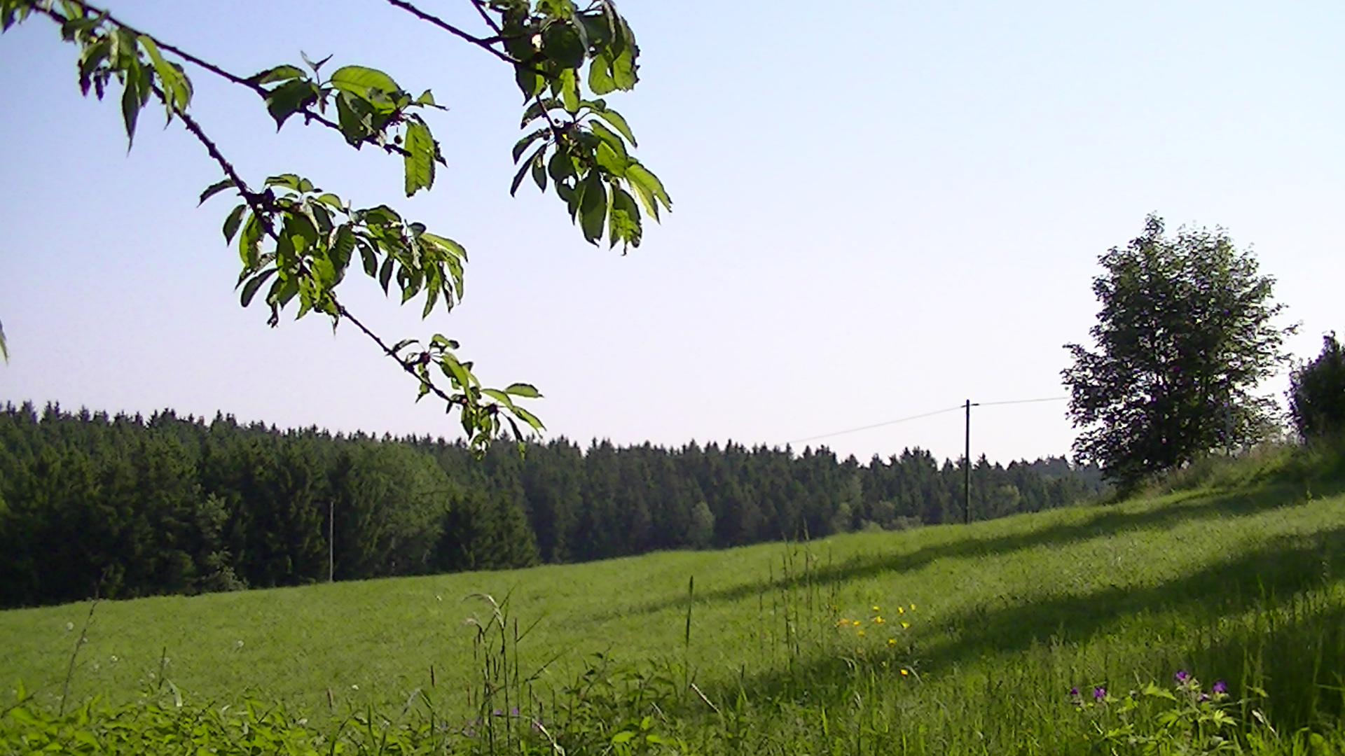 Döbra Stöcken - August 2014