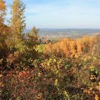 Döbritzer Schweiz - Goldener Herbst 1