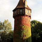 Döhrener Turm im Oktober