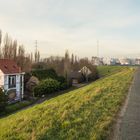 Doel - 133 - Embankment along Schelde River