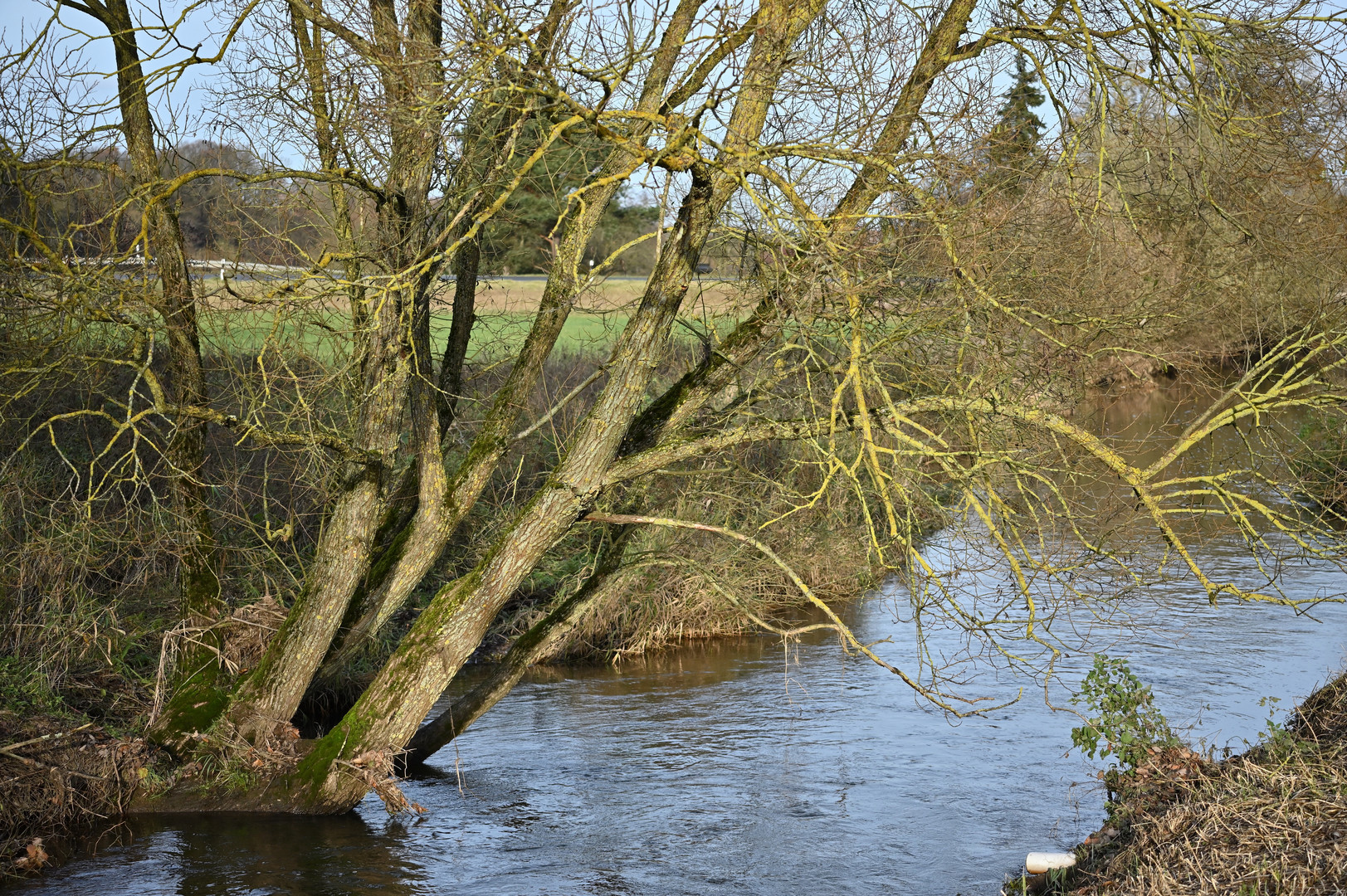 Döllbach