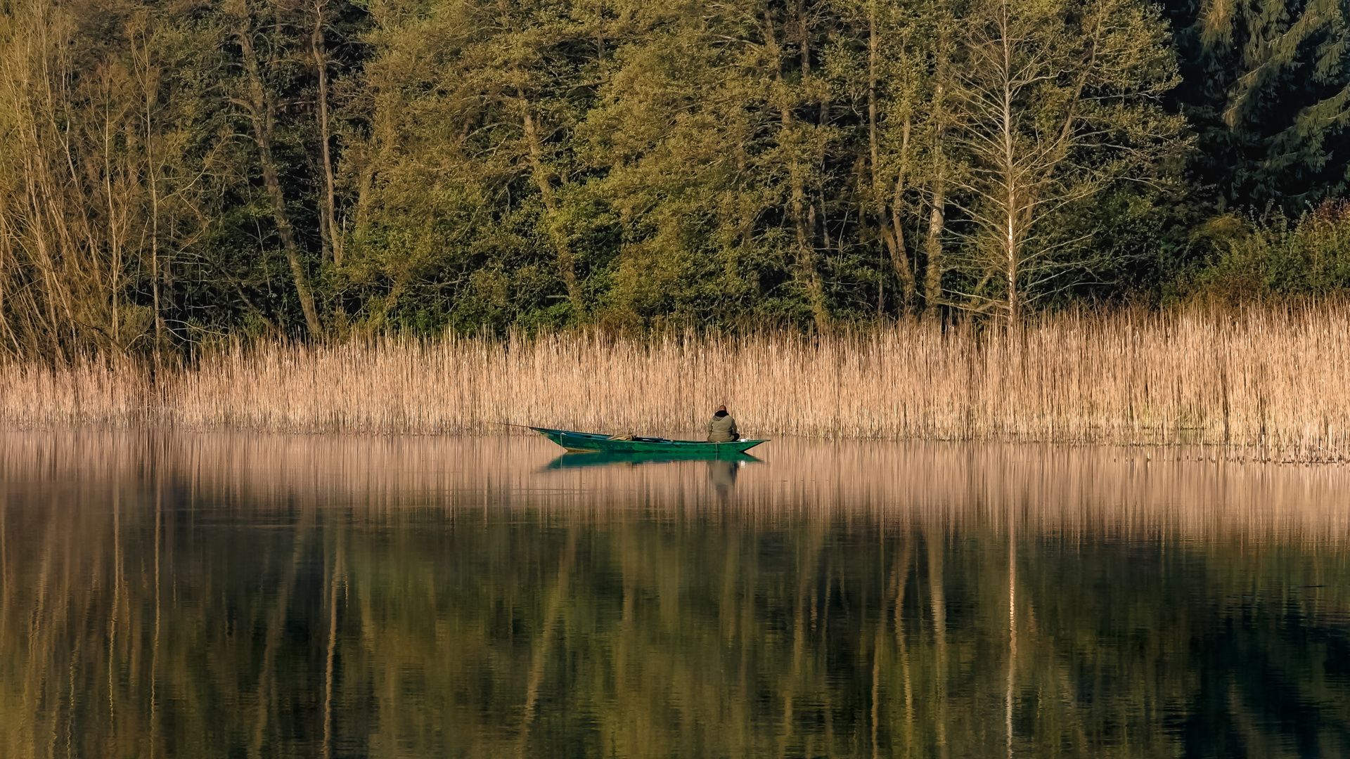 Döllnsee Schorfheide