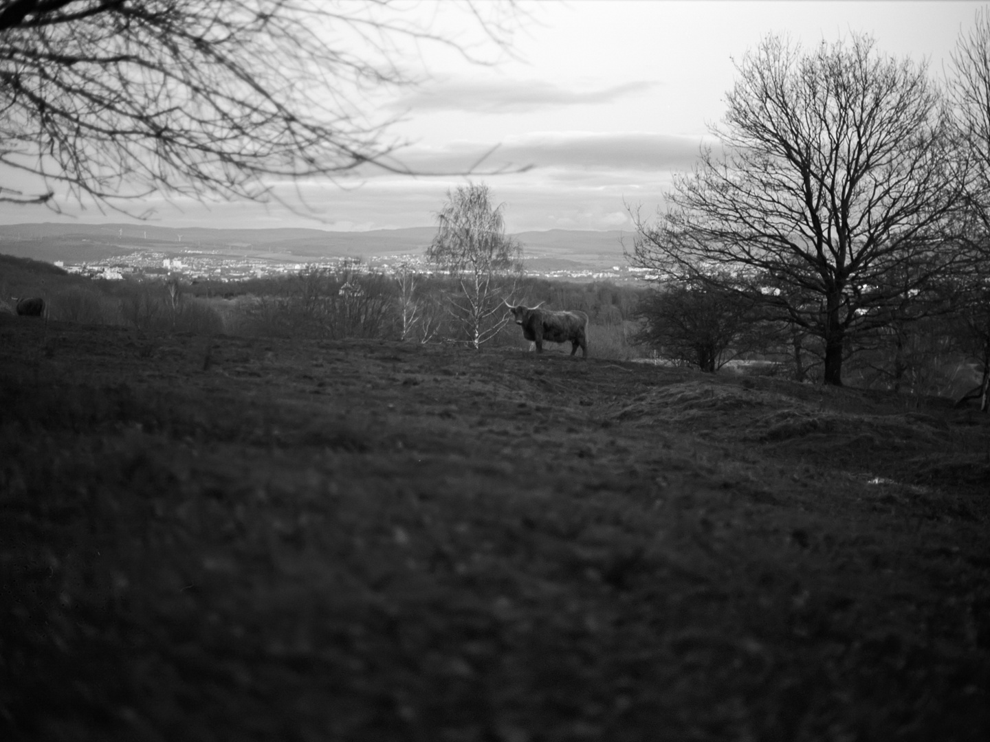 Dönche in Kassel