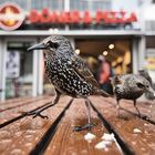 Döner und Pizza