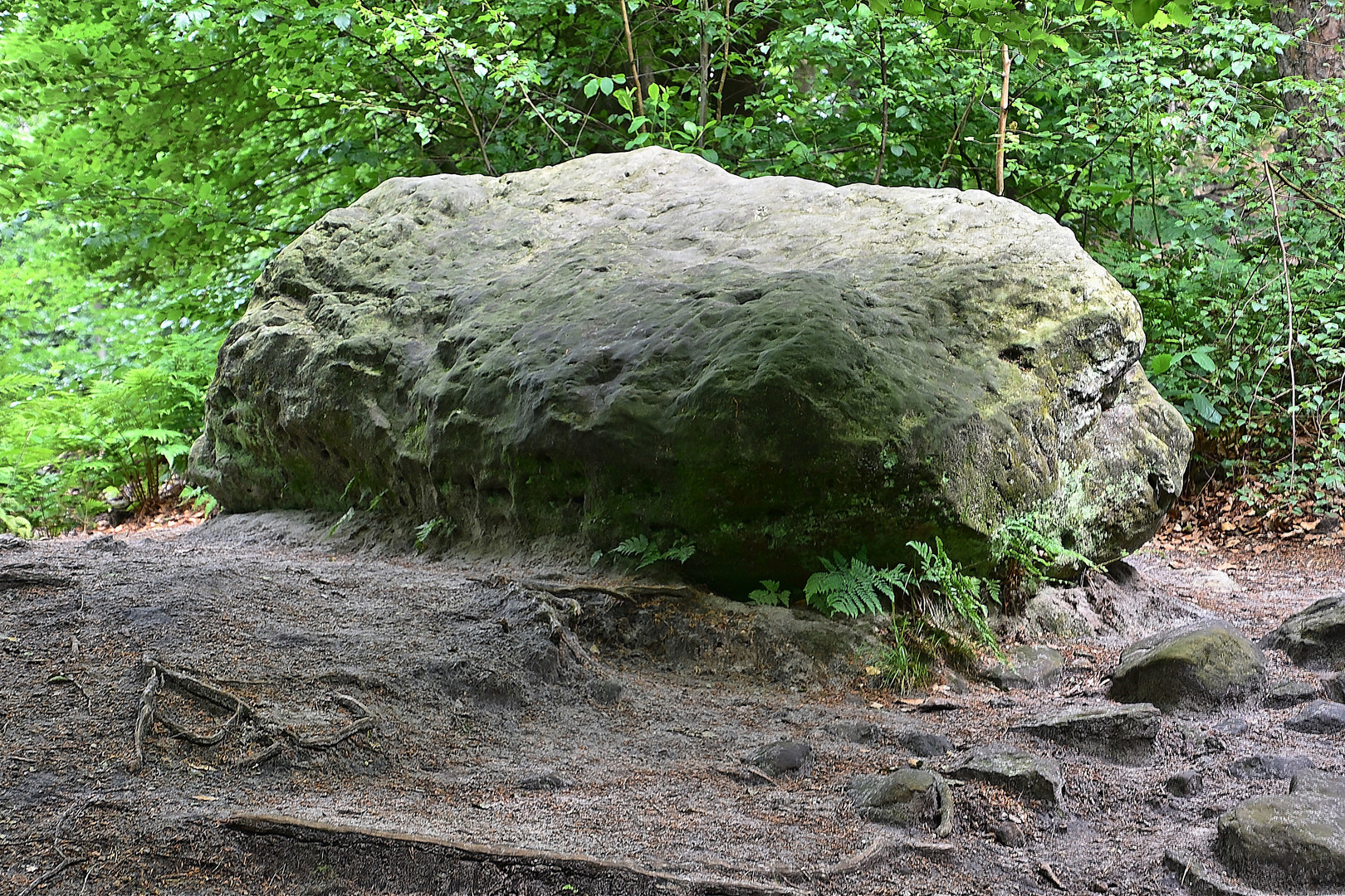 Dörenther Klippen / Ibbenbüren