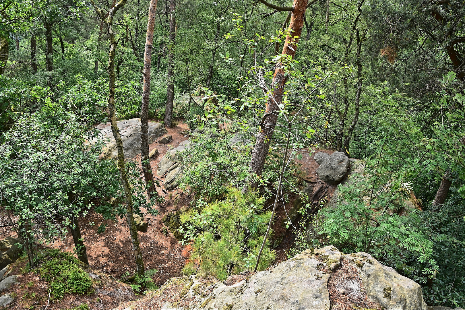 Dörenther Klippen / Ibbenbüren